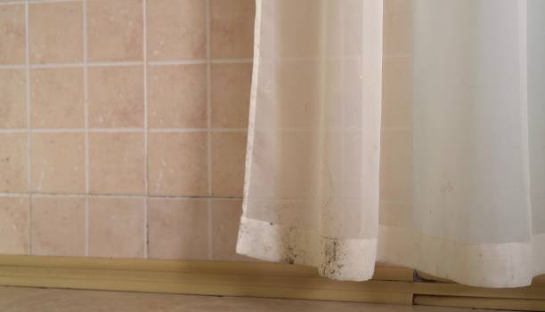 Best Emergency Mold Remediation  in Kendale Lakes, FL