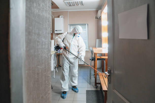 Best HVAC Mold Inspection and Cleaning  in Kendale Lakes, FL