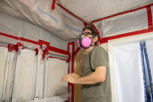 Best Mold Damage Restoration  in Kendale Lakes, FL