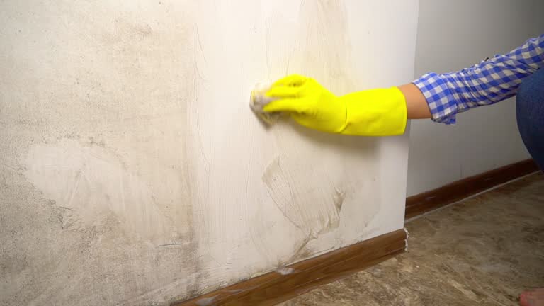 Best Mold Documentation for Insurance Claims  in Kendale Lakes, FL