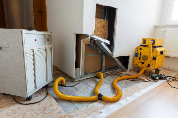 Best Water Damage & Mold Remediation  in Kendale Lakes, FL