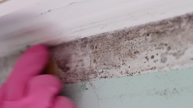 Best Post-Remediation Verification Testing  in Kendale Lakes, FL